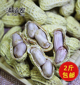 17年广东新水煮花生蒜香原味花农家盐咸干水煮天然白晒干花生500g