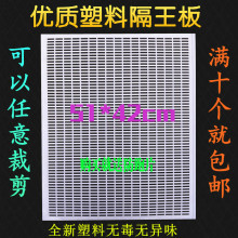 养蜂用具 隔王栅 中蜂隔王板 全新料 平面隔王板 塑料隔王板