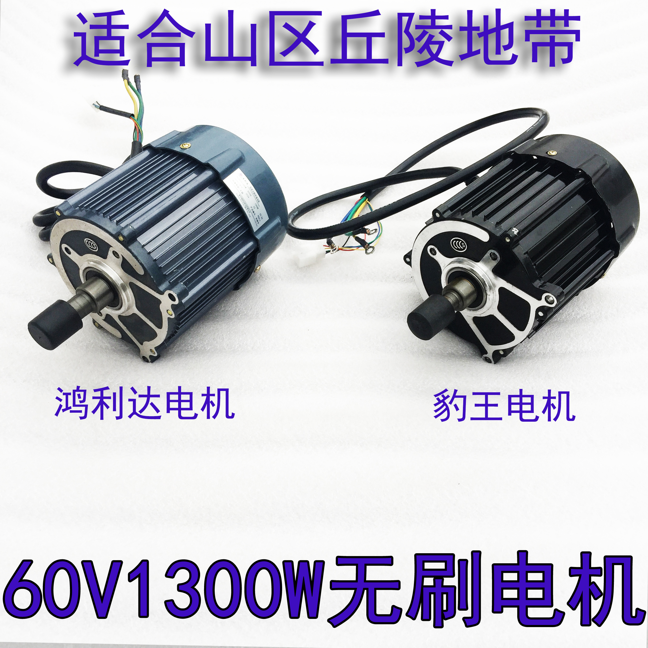 60v1300w红通通豹王电机电动三轮车电机无刷电机头配件