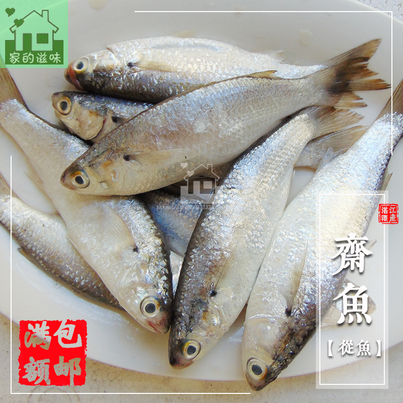 野生斋鱼新鲜鲻鱼湛江从鱼乌头鱼南海天然白条鱼虫鱼黑耳鲻海餐鱼