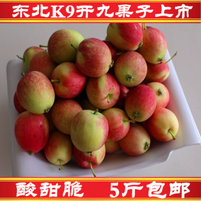 东北k9果子开九果新鲜水果海棠果沙果自家果园种植一箱5斤包邮