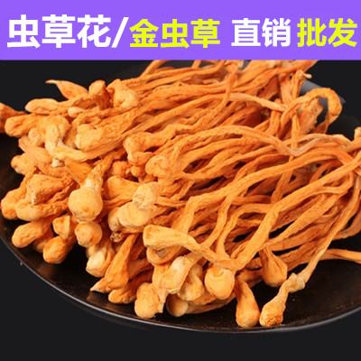 中药材批发 冬虫草花 孢子头 北虫草 蛹虫草 金虫草 滋补干货50克