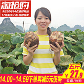 新鲜槟榔香芋毛芋农家自种蔬菜5斤 正宗广西荔浦芋头 天天特价