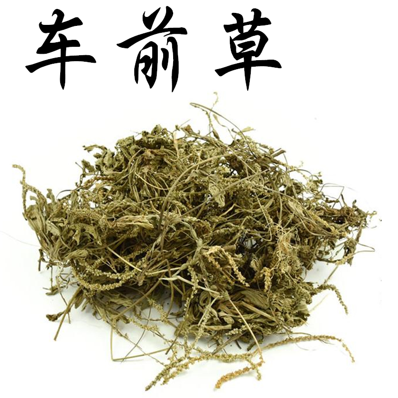义妁阁中药材车前草 干车前草 车轮菜  500克包邮