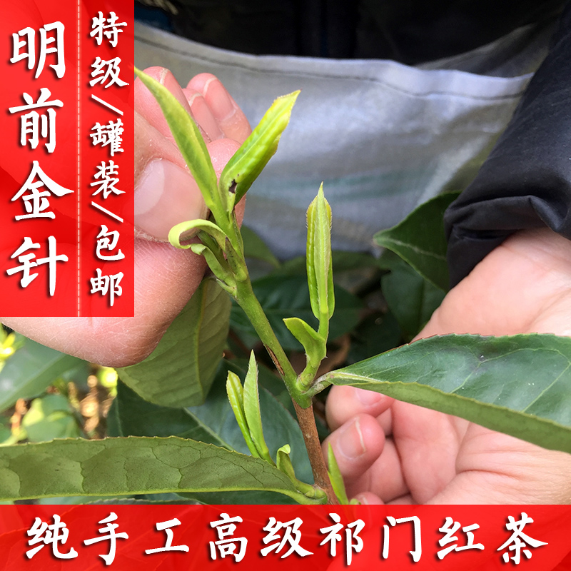 廖学聪手工特级明前金针祁眉100g/历口祁门红茶2016新春茶叶罐装