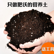 包邮 营养土大包种菜土多肉土泥土花卉土养花土种植土椰土泥炭土壤