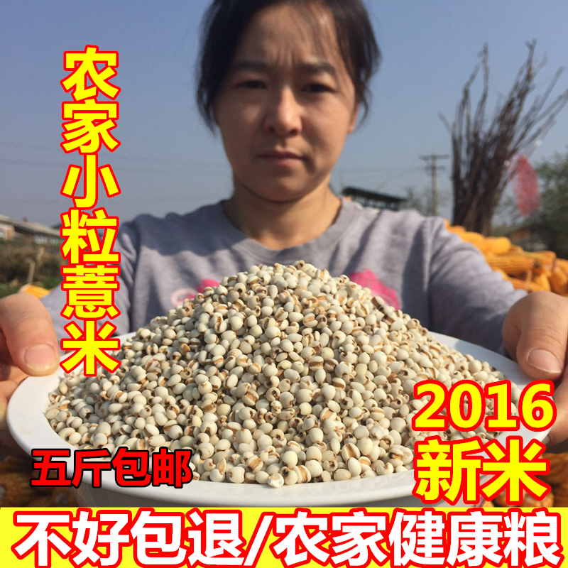 2016年新米黑龙江农家精选小薏米仁薏米天然薏仁米苡米仁500g杂粮