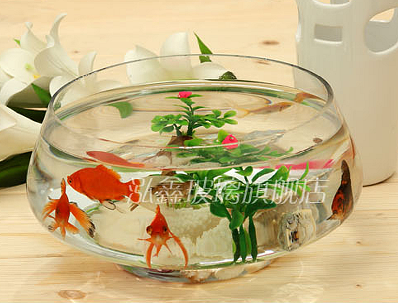 大号透明玻璃鱼缸圆形创意金鱼缸生态玻璃鱼缸金鱼缸