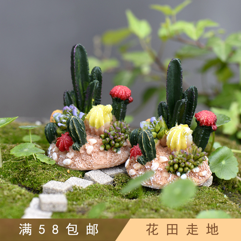 苔藓微景观多肉植物装饰摆件 仙人掌植物摆件 diy造景装饰材料