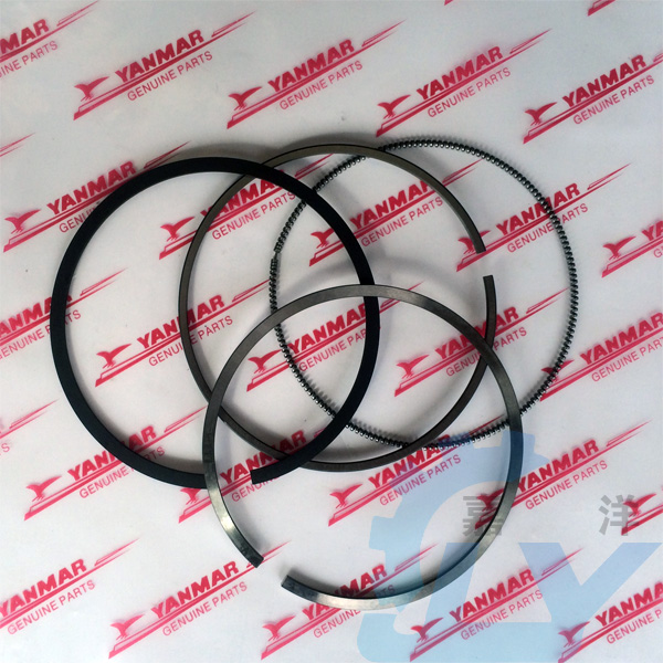 XKTY.COM星空体育-汇隆活塞：2025年净利润同比下降2177% 拟10派14元