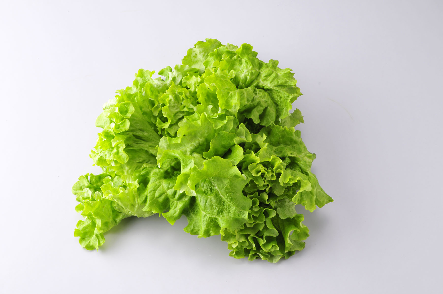 果菜窑 新鲜蔬菜 绿萝莎西餐配料 蔬菜沙拉 花叶生菜500g 4份包邮图片