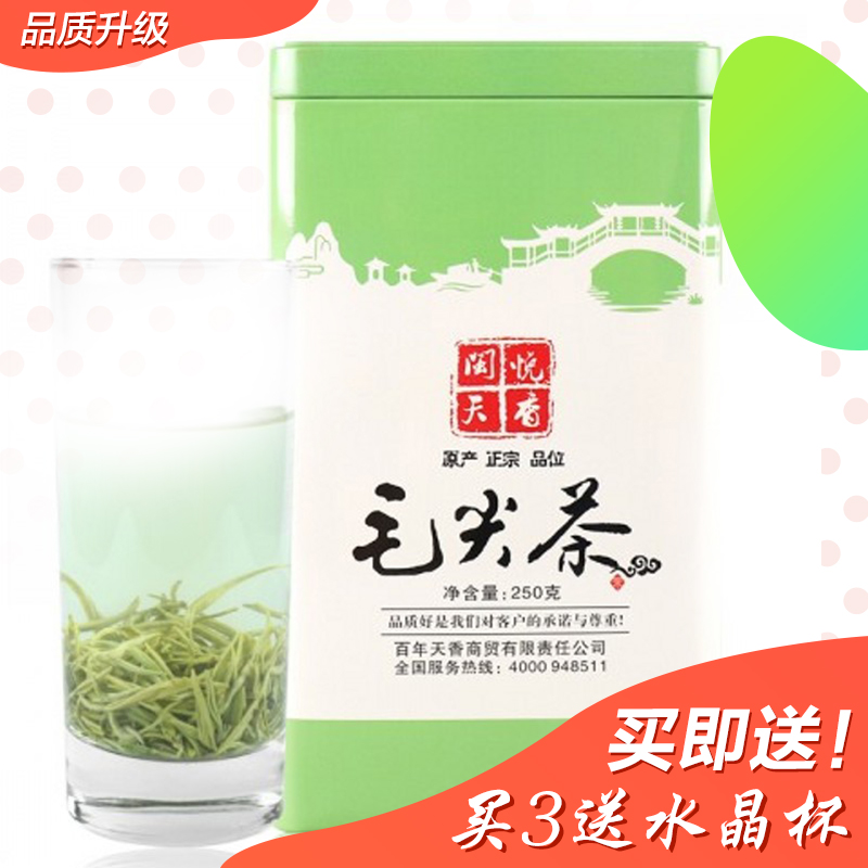 2016新茶信阳毛尖茶明前春茶绿茶250克浓香耐泡毫多芽多特级包邮