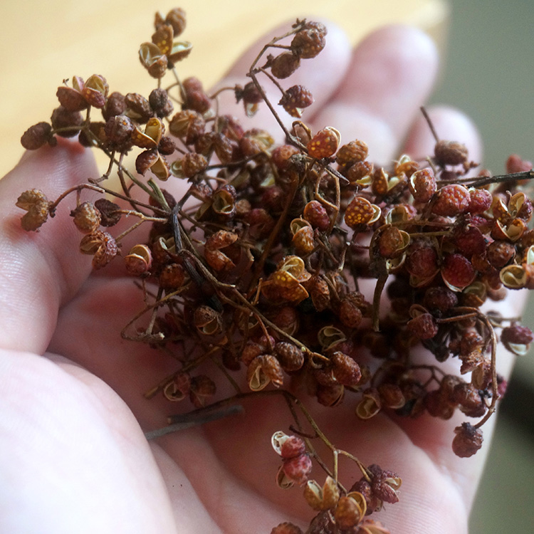 泡脚花椒 专用泡脚花椒大红袍 祛湿杀菌除臭农家自产500g一斤包邮