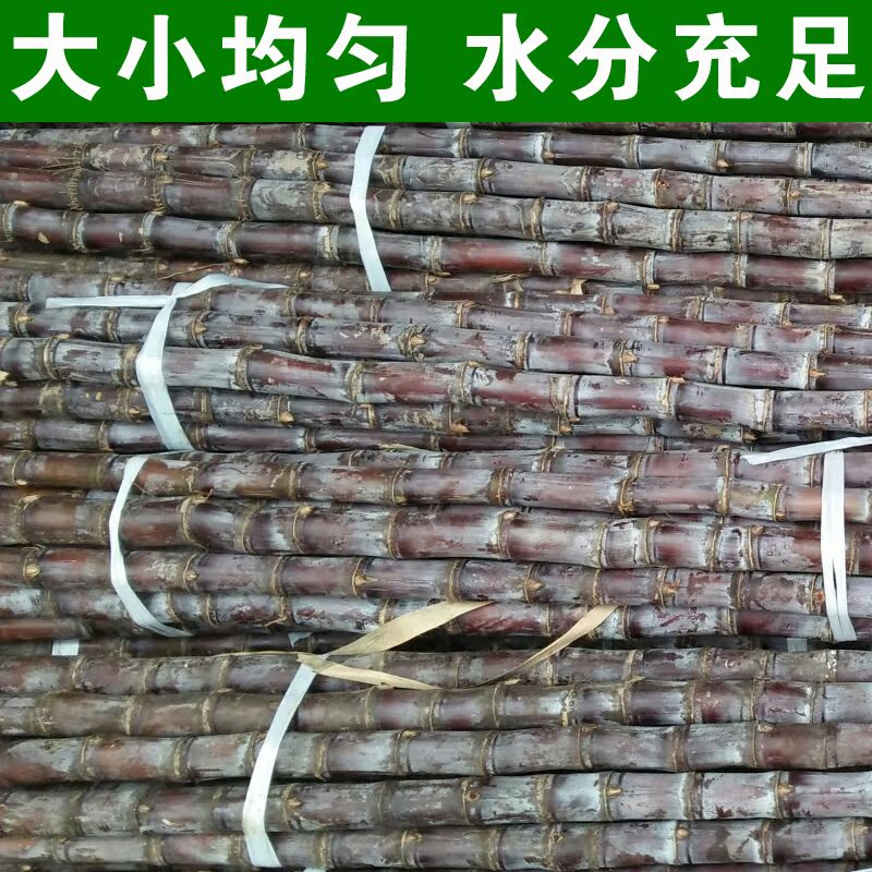 【天天特价】16年新鲜广西甘蔗水果甘蔗 黑皮甘蔗 整根发货 包邮