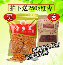 精选北虫草排草虫草花 蛹虫草子实体正品 包邮 虫草花干货孢子250克
