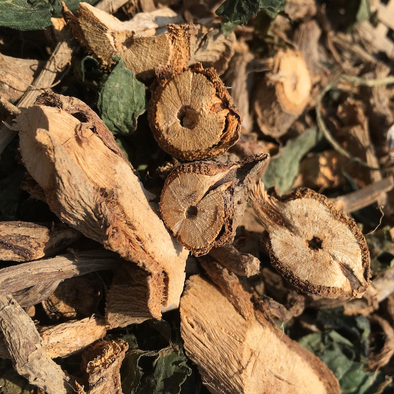 接骨木 野生干品草药蒴藋走马前八棱麻陆英根枝叶接骨草