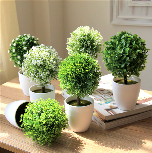 室内绿植大型绿植新疆 TB2hlkGtVXXXXXkXpXXXXXXXXXX_!!2891021152.jpg