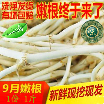 （天天特价）一鸣百味 农家自产新鲜鱼腥草（节节根.折耳根）