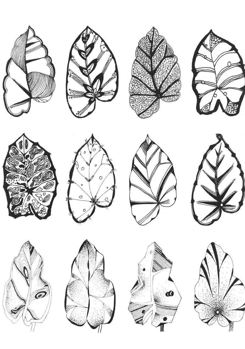 正版 经典图案花卉植物篇 平面设计基础丛书 学院典藏