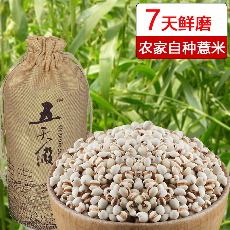 原生态薏米仁小薏米 2016年新薏米薏米仁 小薏米仁炒薏米特价包邮