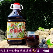 乌镇西塘特产桑葚酿桑葚酒桑果原汁32度高度浸泡制果酒5斤桶装