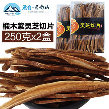 长白山紫灵芝片500g礼盒装 半野生赤灵芝泡水灵芝切片炖汤泡水