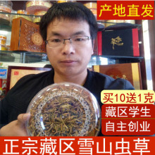 正宗无断草玉树礼盒顺丰 西藏那曲野生新虫草4条 冬虫夏草正品