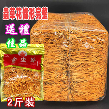 蛹虫草子实体无硫金虫草1000g北虫草包 虫草花干货内蒙古正品