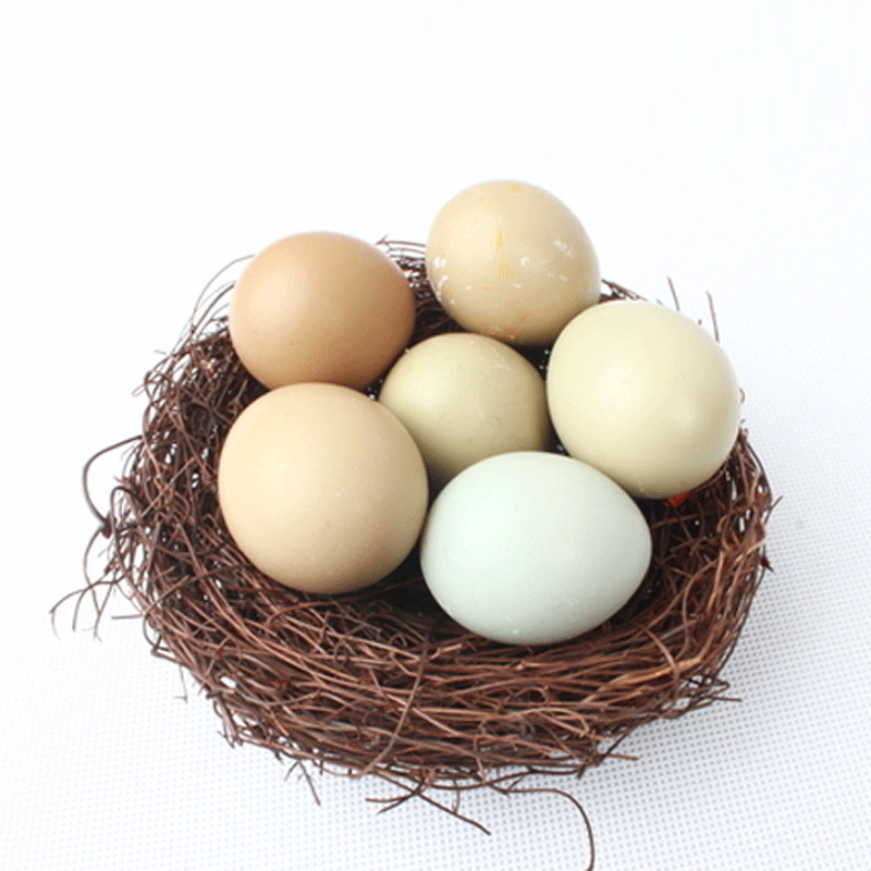 野鸡蛋60枚 七彩野山鸡蛋新鲜农家散养现捡山鸡蛋 七彩野鸡蛋