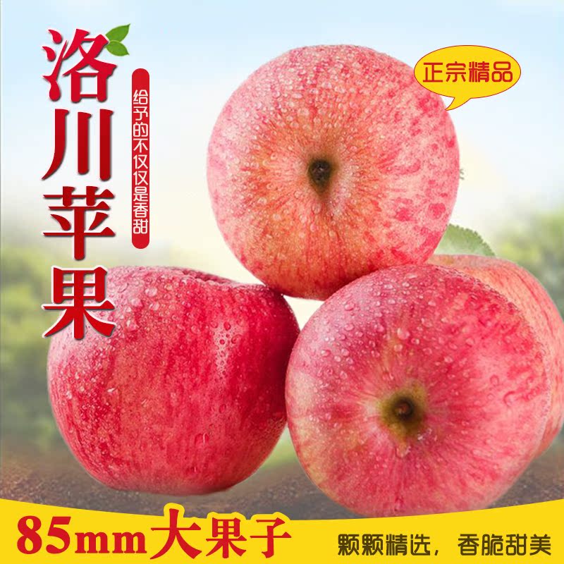 正宗陕西特产洛川红富士苹果新鲜水果精品礼盒整箱包邮送礼福利85