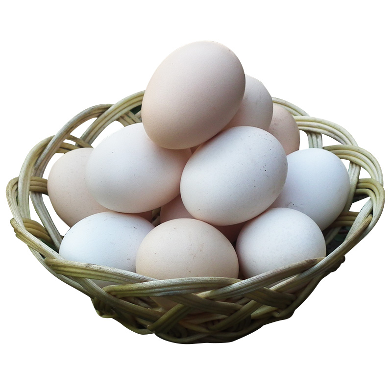 惠为农家散养柴鸡蛋白皮月子蛋老母鸡蛋笨鸡蛋新鲜30枚首件尝鲜