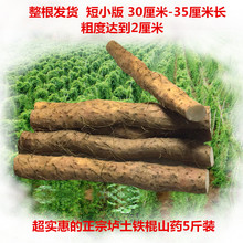 包邮 短山药整根 垆土地山药铁棍山药温县山药淮山药 超值5斤装