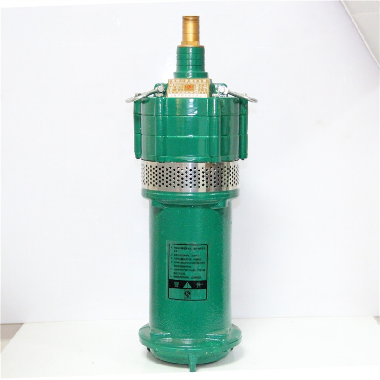 家用小型潜水泵 农用220v节能水井抽水泵单相高扬程电泵