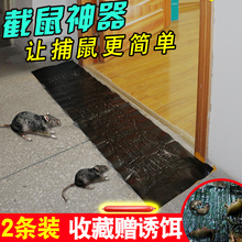 老鼠贴超强力粘鼠板家用捕鼠神器抓老鼠笼药灭鼠夹魔毯黏鼠胶沾鼠