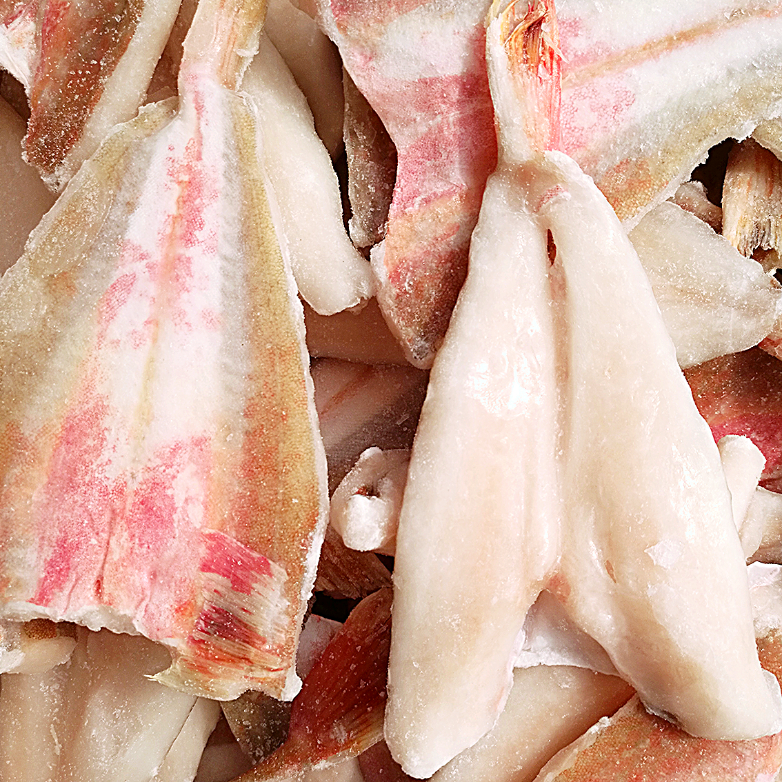 海捕野生新鲜冷冻红头鱼片 红娘子海鱼片500克 海鲜火锅烧烤食材