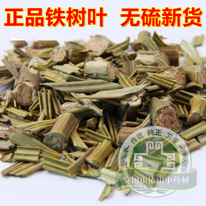 中药材野生铁树叶 整枝铁树叶切碎可搭配白花蛇舌草半枝莲 500克