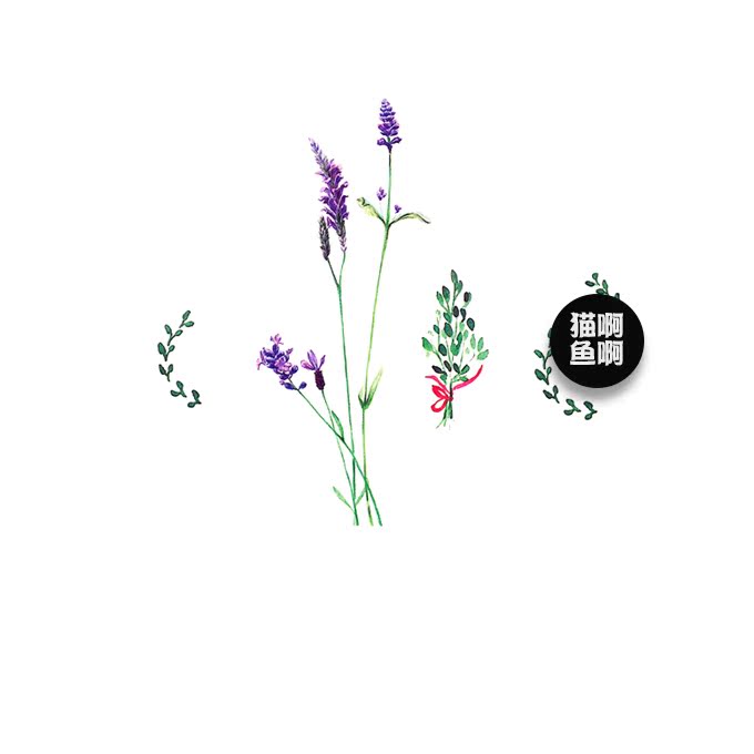 「猫啊鱼啊」纹身贴 薰衣草 花朵花卉 植物绿叶草 紫色 唯美浪漫