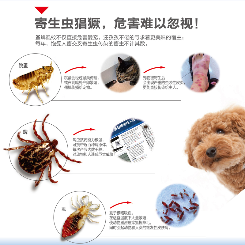 埃尔金 蚤立安驱虫滴剂犬跳蚤药杀虱子蜱虫狗狗体外驱虫药 单支卖