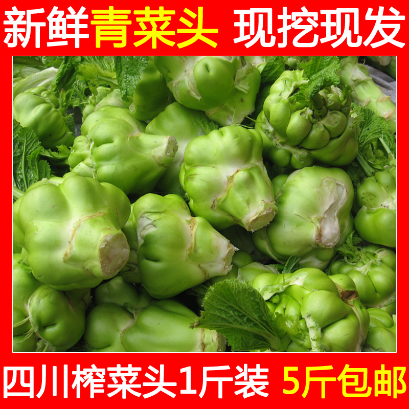 新鲜榨菜头批发 青菜头咸菜 5斤包邮四川大头菜乌江涪陵榨菜原料