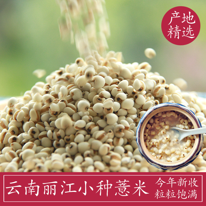 云南优质糯小薏米 薏米仁 薏仁米 苡仁 粗粮农家新货 500g