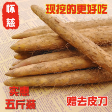 怀慈温县铁棍山药农家怀淮山5斤河南焦作正宗山约铁杆铁棒山药