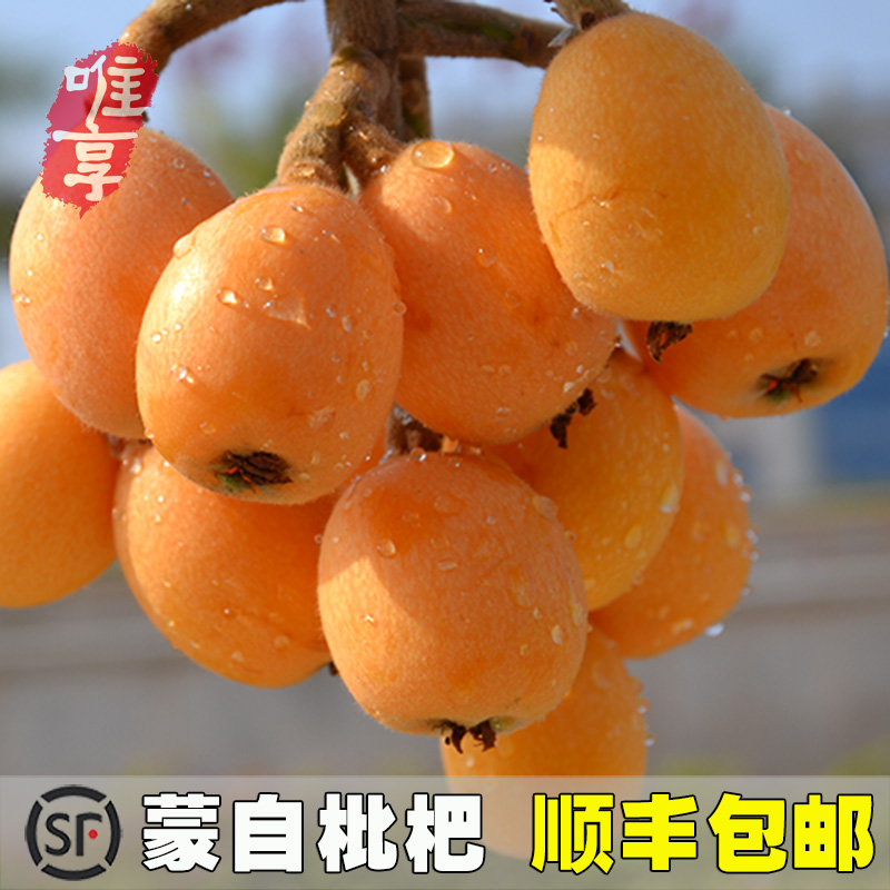 【11月见】 云南蒙自枇杷 长虹甜枇杷新鲜水果大五星4