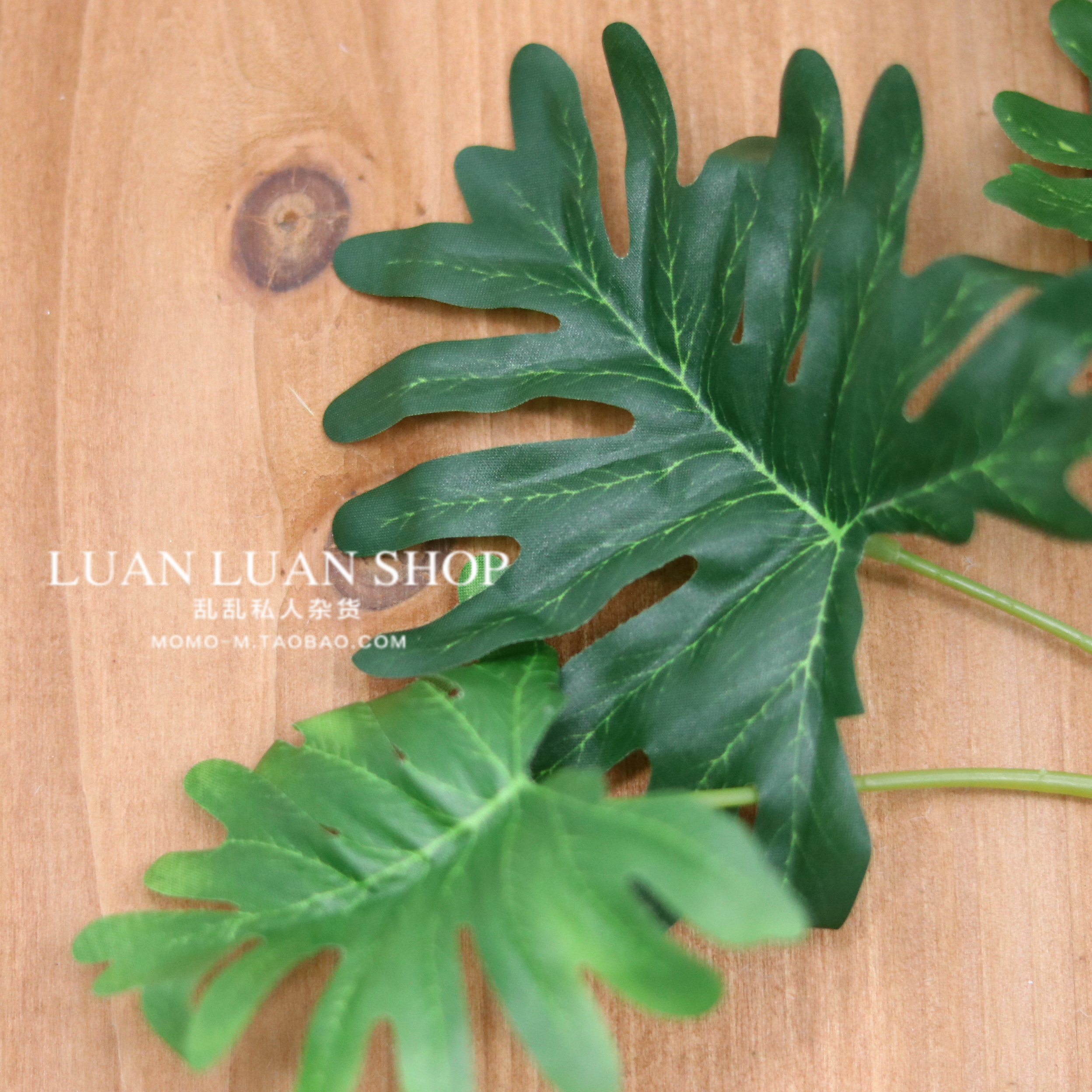 ins简约北欧绿植 仿真龟背竹春宇叶 桌面装饰植物 chic拍照道具