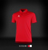 男国家队国旗POLO正品 训练半袖 2017中国国家足球队POLO衫