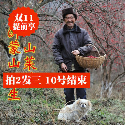 新货沂蒙山野生山茱萸 无核山萸肉山芋肉枣皮天然无硫熏500克包邮
