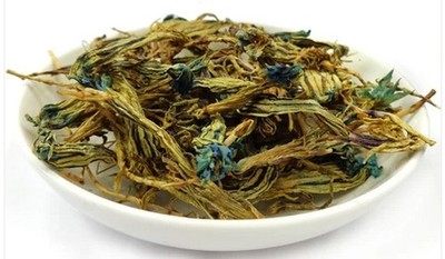 玉美人 虞美人茶 龙胆花纤身