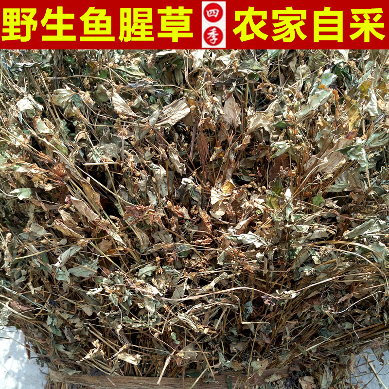 野生鱼腥草500克 干鱼腥草叶子 农家自晒鱼腥草茶 干折耳根叶子