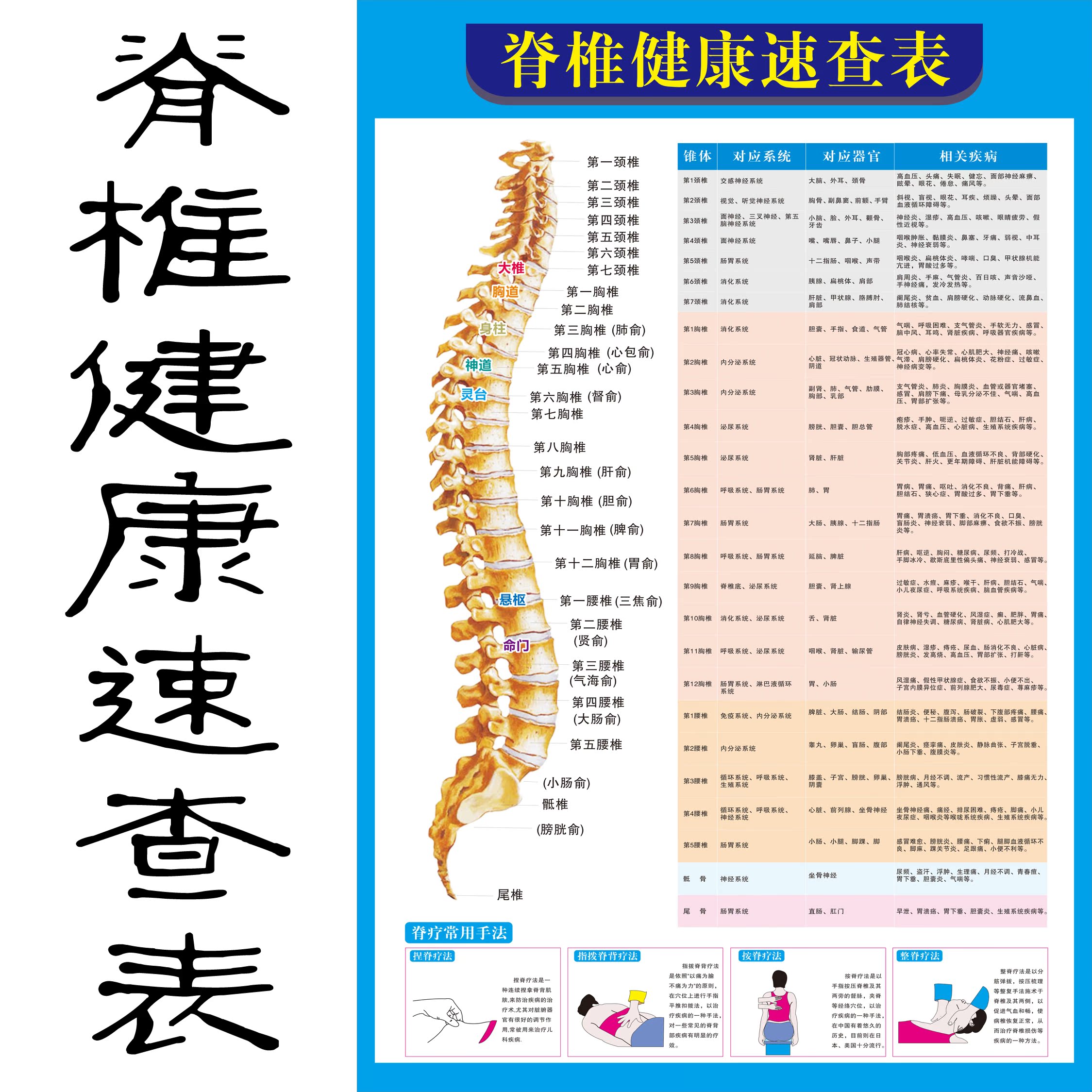 脊椎相关疾病示意图脊柱医学宣传挂图人体器官解剖图医院布置海报