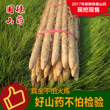 精选 正宗河南温县铁杆沙土淮怀山药 国栋铁棍山药 拍3斤更优惠
