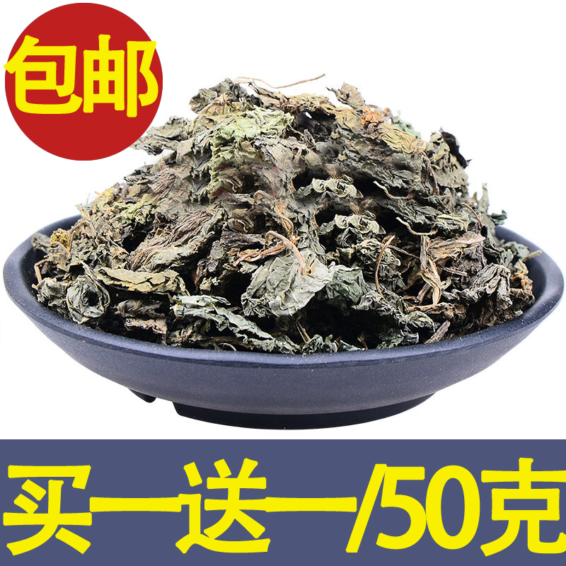 广西横县新鲜野生紫苏叶 纯天然紫苏叶干 去腥泡茶解表散寒中药材